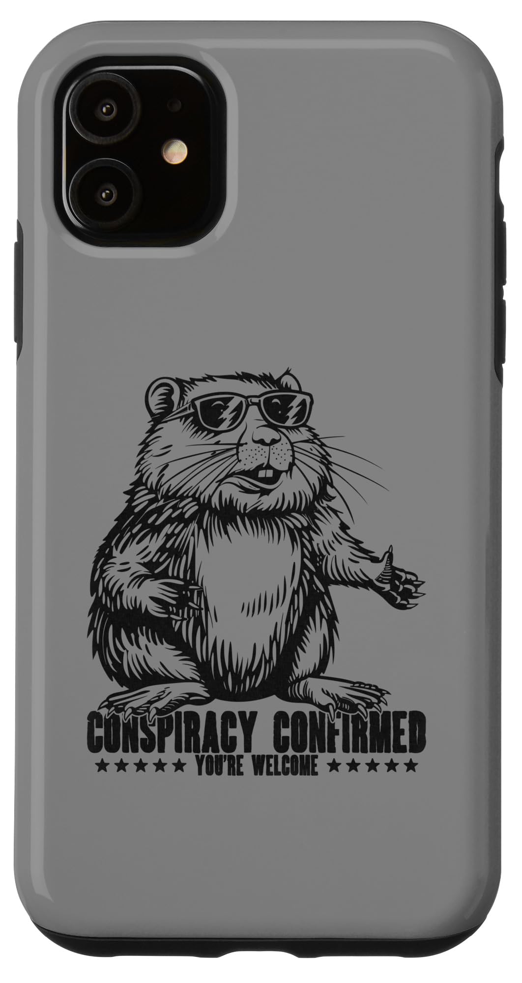 iPhone 11 Conspiracy Confirmed You're Welcome Conspiracy Theorist Meme Case