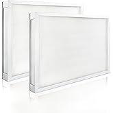 2 Pack F301H HEPA Filter, AS-550 Air Scrubber Stage 2 HEPA 550 Air Filter Compatibile with BlueDri,16 x 19 x 2 Air Shield 550 HEPA Air Scrubber Filter fit for BlueDri/Vevor/Dri-Eaz/Phoenix/Bear