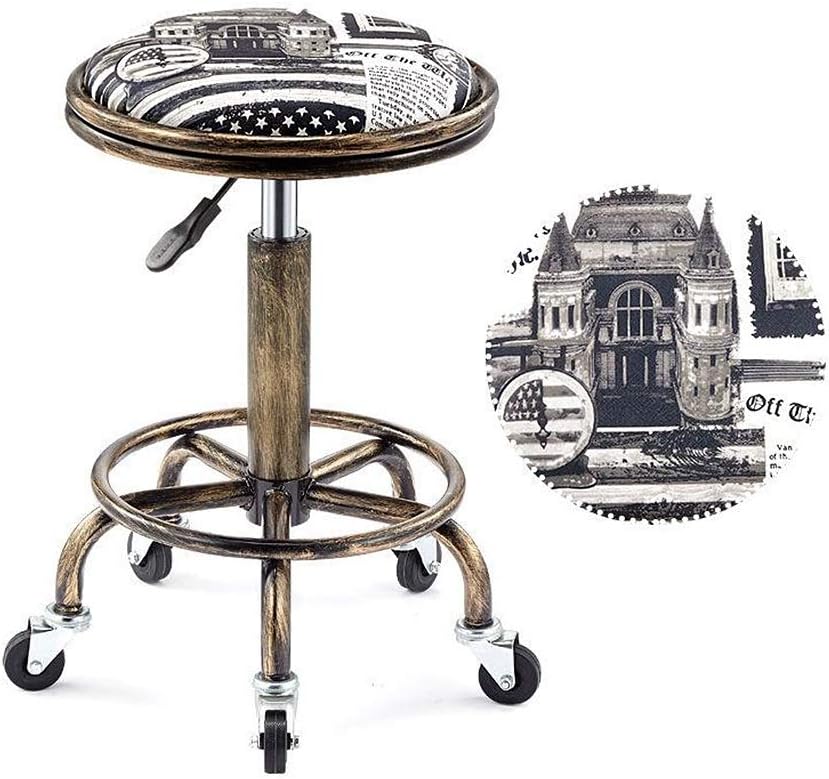 Gao Round Chair Caster Swivel Chair Rolling Swivel Salon Stool Chair, Back Support Adjustable Hydraulic 9 Colors for The Office Massage Facial spa Medical Drafting Tattoo Beauty Barber (Color : C)