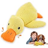 61uBf2OKytL. AC UL160 SR160,160