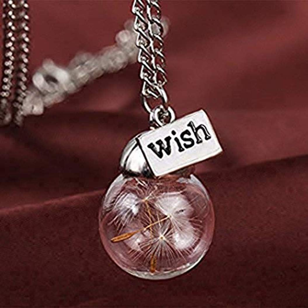 Dandelion immortal flower seed glass cover plant specimen pendants sweater necklace
