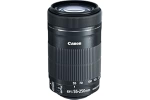 Canon EF-S 55-250mm F4-5.6 is STM
