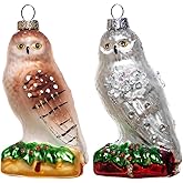 Set of 2 Hand Blown Glass Owl Ornaments for Christmas Tree, Hanging Glass Owl Christmas Ornaments