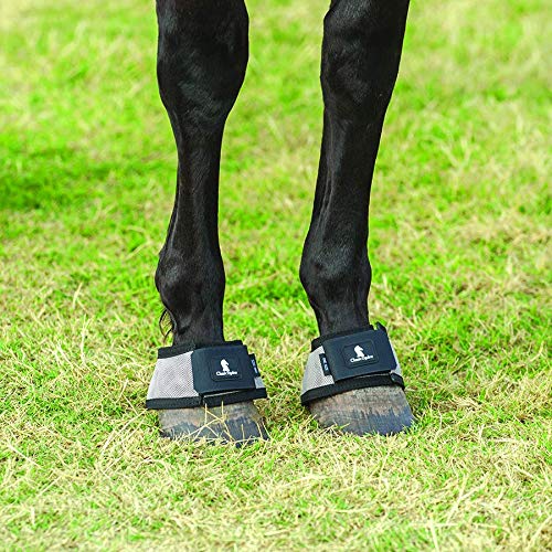 Classic Equine MagNTX Bell Boot