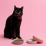 Mason Cash Colour Mix Grey Cat Saucer 13cm 200ml Stoneware Bowl view 2