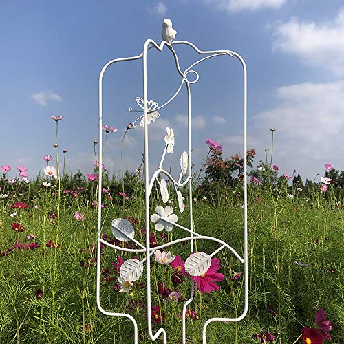 CJSWT Rankhilfe Rankgerüst Kletterpflanzen,Obelisken, Pflanzendesign Garten Gitter, Für Im Freien Kletterer Blumen und…