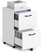 VASAGLE 2-Drawer Filing Cabinet Mobile File Cabinet White OFC040W46