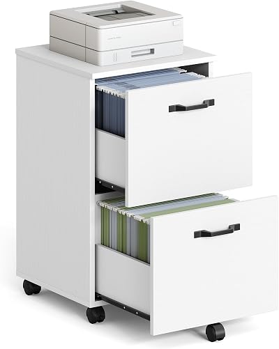 VASAGLE 2-Drawer Filing Cabinet Mobile File Cabinet White OFC040W46