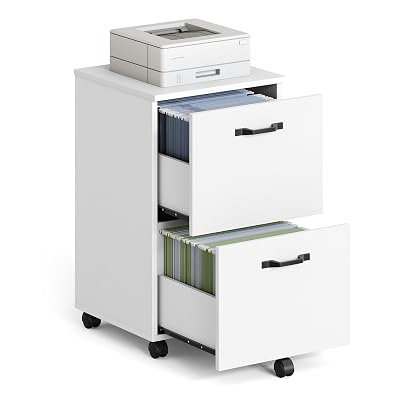 VASAGLE 2-Drawer File Cabinet, Small Rolling Filing Cabinet for Home Office, Printer Stand, for A4, Letter-Size Documents, 15.7 x 16.5 x 27.6 Inches, Snow White UOFC040W46