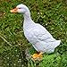 Accreate Simulation Duck Crafts Realistic Garden Resin Artificial Model Sculpture Decor Outdoor Statues