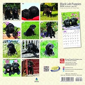 Black Labrador Retriever Puppies 2018 7 x 7 Inch Monthly Mini Wall Calendar, Animals Dog Breeds Retriever Puppies (Multilingual Edition)