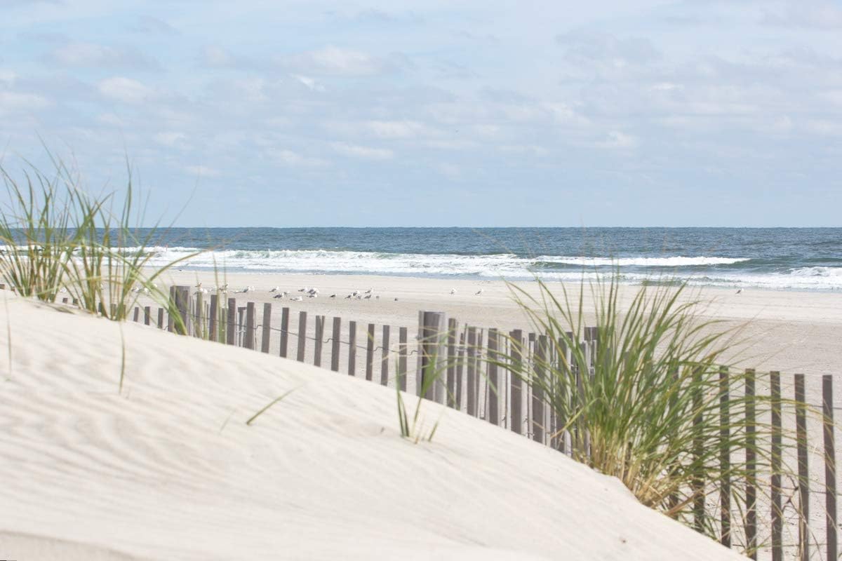 Photograph of sand dunes with beach fence and the ocean in the distance -"Stone Harbor Dunes #3"