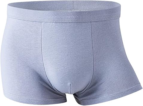 Amazon Co Jp メンズ 下着 爆販人気 ボクサーパンツ インナーパンツ 柔らかい 魅力 速乾 無地 通気性抜群 吸汗 高伸縮 快適 ボクサーブリーフ ストレッチ 抗菌防臭 男性下着 抗菌 肌着 誕生日 プレゼント Xxl シルバーグレー Pet Supplies