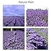 MYARO Best Organic A A A A A Extra Food Grade Purple Lavender Flower Dried Flowers for Cooking , Aromatherapy, Crafts Potpourri ,Home Fragrance, 8.8 Oz, MR-07
