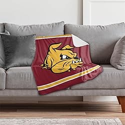 University of Minnesota Duluth Primary Logo Stripes
