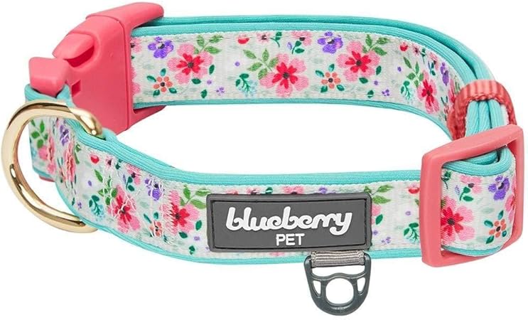 blueberry pet collars amazon