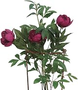 Garden Pride Rusty Bow Plant Supports Pack of 4 72cm Tall 40cm High view 2
