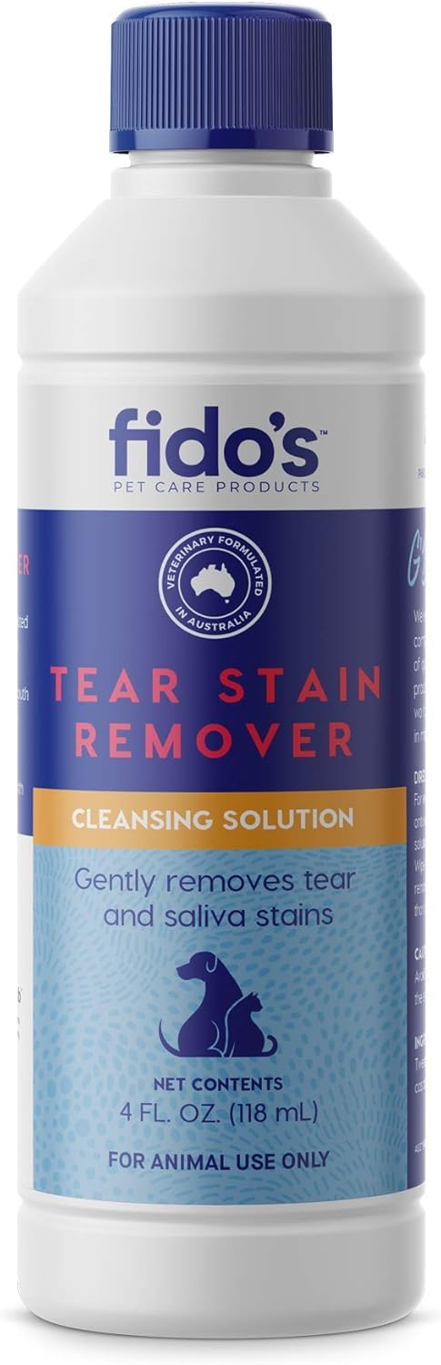 the cat doctor valencia