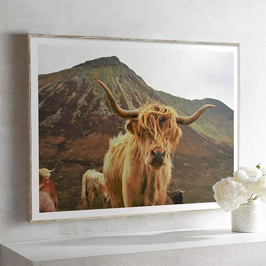 Amazon Com Scottish Highland Cow Art Print Poster Canvas Print