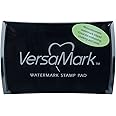 Tsukineko VM000001 Full-Size VersaMark Pigment Inkpad, 3-Inch X 2-Inch, Clear