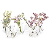 CHIVE ‘George’ Glass Bottle Flower Vases — Set of 6 — Small, Elegant Clear Glass Bud Vases — Bulk Pack for Home Decor & Table Centerpieces — Shape 4 (Oval, 4” Tall, 3” Wide)