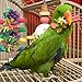 Pet Magasin Hand Made Bird Toys [3-Pack] - Interactive Perch, Stand & Swing for Birds of All Kinds