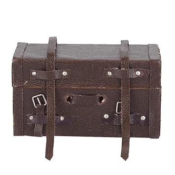 rc truck carrying case