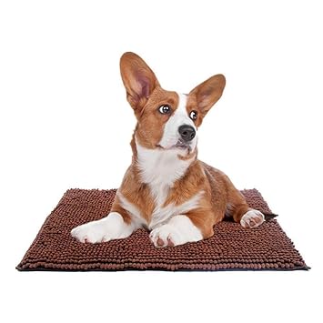 clean pooch mat