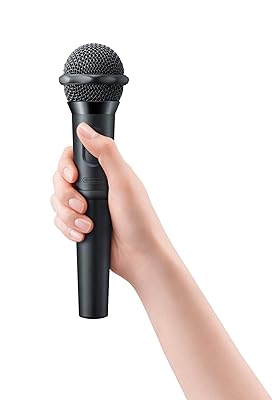 ニンテンドーusbワイヤレスマイク 予約 再販 最安値情報 Nintendo Switch 家カラ ひとカラ 自宅で熱唱 ストレス解消 Daystar