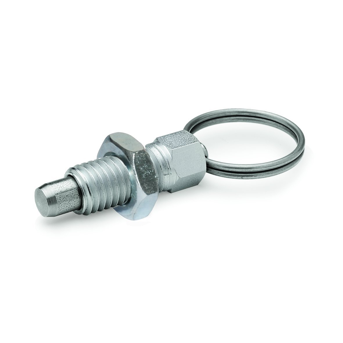 Ganter Normelemente GN 717-3-M6-AK-ST 717-3-M6-AK-ST-Locking Bolts, Silver, Gewinde d2: M6, Set of 2 Pieces