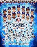 Chicago Cubs 2016 World Series Champions Team Photo (8
