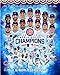 Chicago Cubs 2016 World Series Champions Team Photo (8