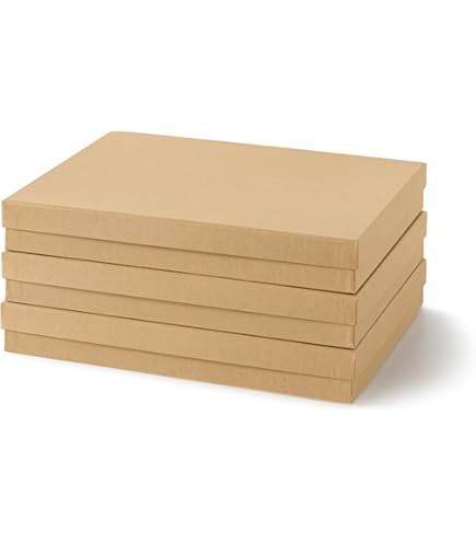 Amazon.com: Leitz Premium archive box with flap, 10 pieces, 100