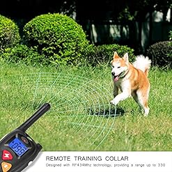 peston dog training collar customer service