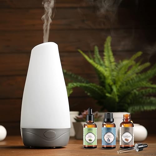 wuhura Mens Cologne Fragrance Oil for Men 30ML Premium Grade