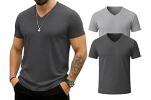 KESIHAN Men's T Shirts V Neck 2 Pack Tees Breathable Everyday Essential Casual Tops