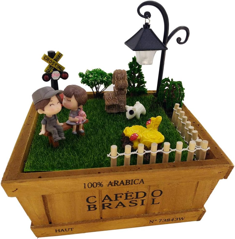 Best succulent fairy garden planter