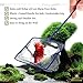 SunGrow Betta Net, 5×4 Inches with 11 Inches Handle, Anti-Stress, Extra Soft Nylon Net, Easy Routine Tank Maintenance, Random Colorthumb 2