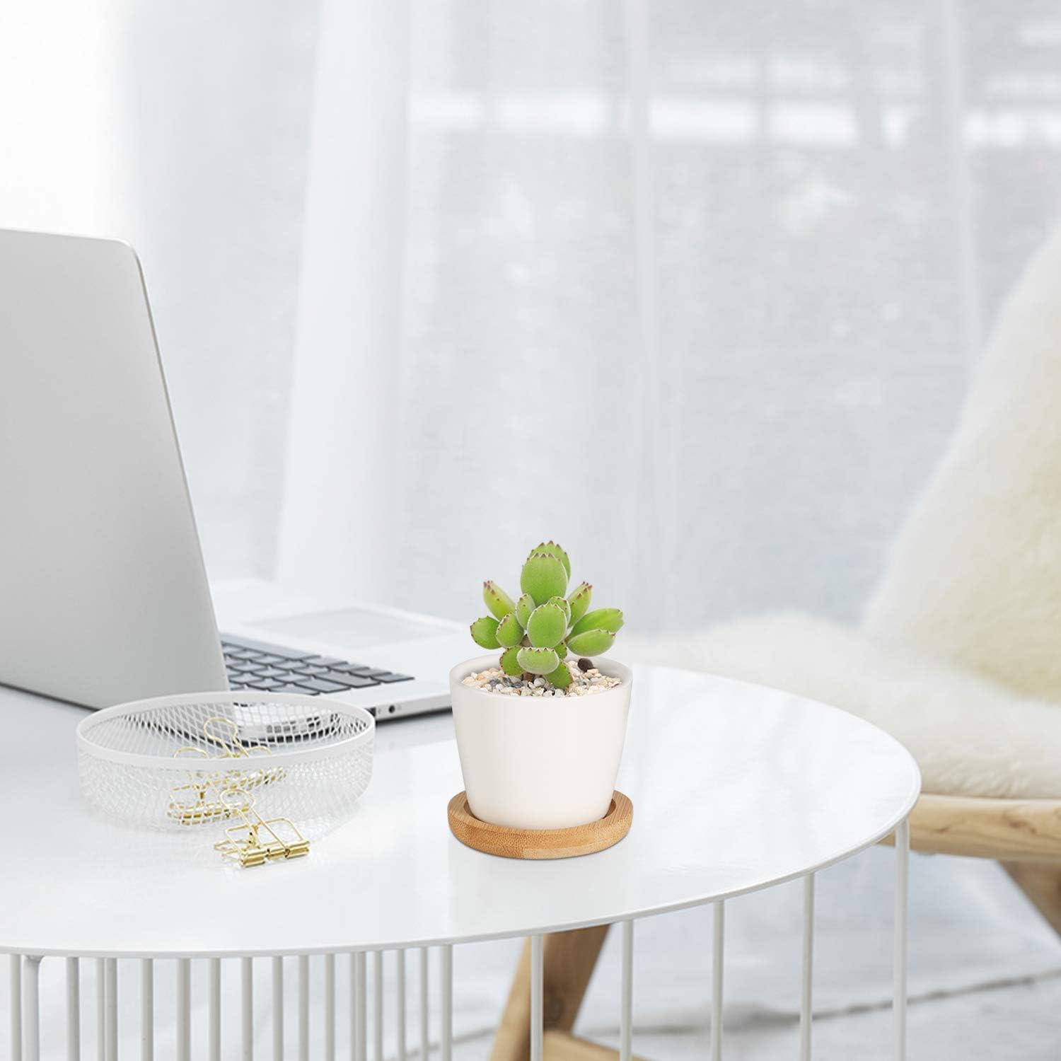 T4U 6.5CM Small White Succulent Planter Pots with Bamboo Tray Round Set of 12 - Image 3
