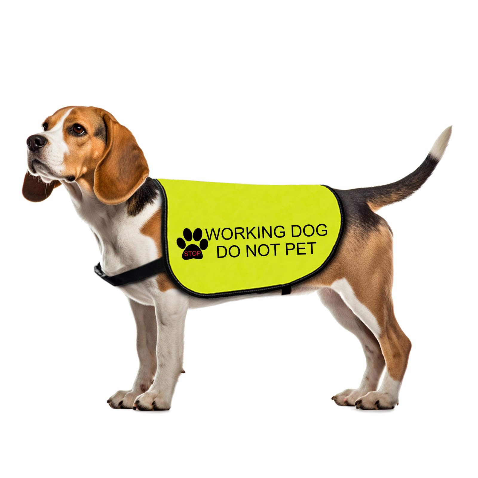 Working Dog Jacket - Walking Slogan Warning Dog Vest (Small)
