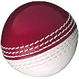 Gunn & Moore GM Cricket Training & Practice Balls