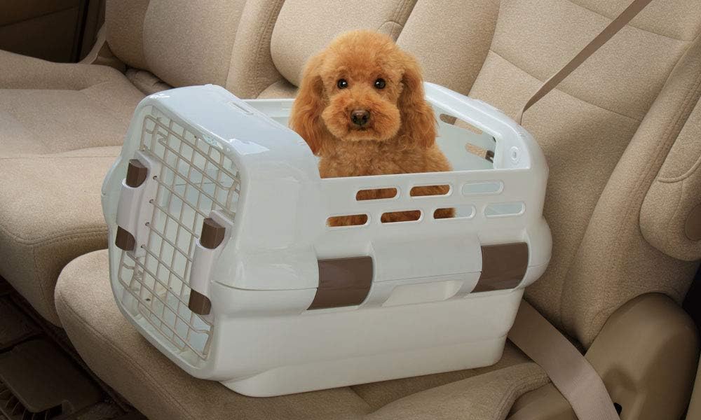 Iris Ohyama, Pet carrier / transport box with leashes, 2 removable