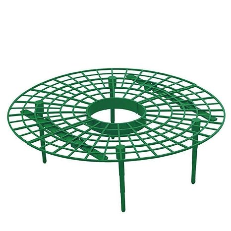 Fresa Planta Soportes Estante 5/10 Paquete Círculo Agricultura ...