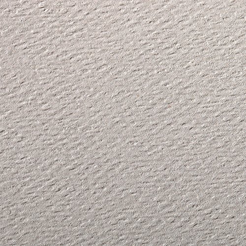 Clairefontaine 90869C Étui Papier Etival Color - 5 Feuilles Papier Dessin à Grain Gris Rose - A4 21x29,7 cm 160g - Idéal pour le Dessin et les Activités Créatives