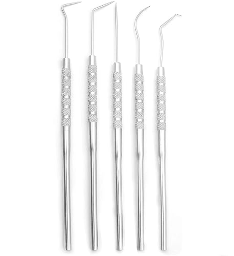 Scientific Labwares 5-Piece Stainless Steel Precision Probe, Pick and ...