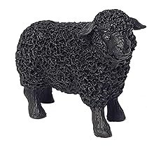 小物 TEN COIN SHEEP BLACK TEN COIN SHEEP BLACK