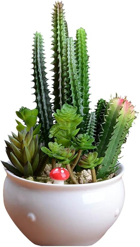 Amazon Funpa 多肉植物 人工植物 机 テーブル ホーム オフィス 車 置物 事務室 リビング インテリア 緑 全2タイプ 造花 オンライン通販