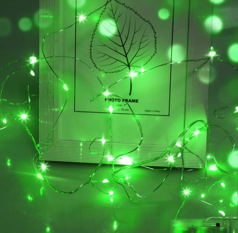 cshare Green Fairy Lights 5M Battery Operated 50 LEDs Silver Wire