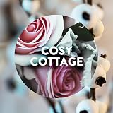 Air Wick Cosy Cottage Frosted Roses Snowberry Reed Diffuser 42ml view 2