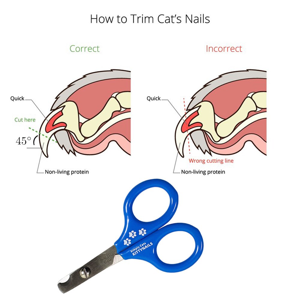 Cat Nail Clippers by KittyNails Professional Cat Clippers Designed by